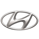 Hyundai i30N TCR '19 Badge